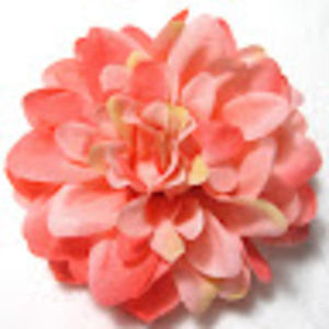 Meet your Posher, Kira